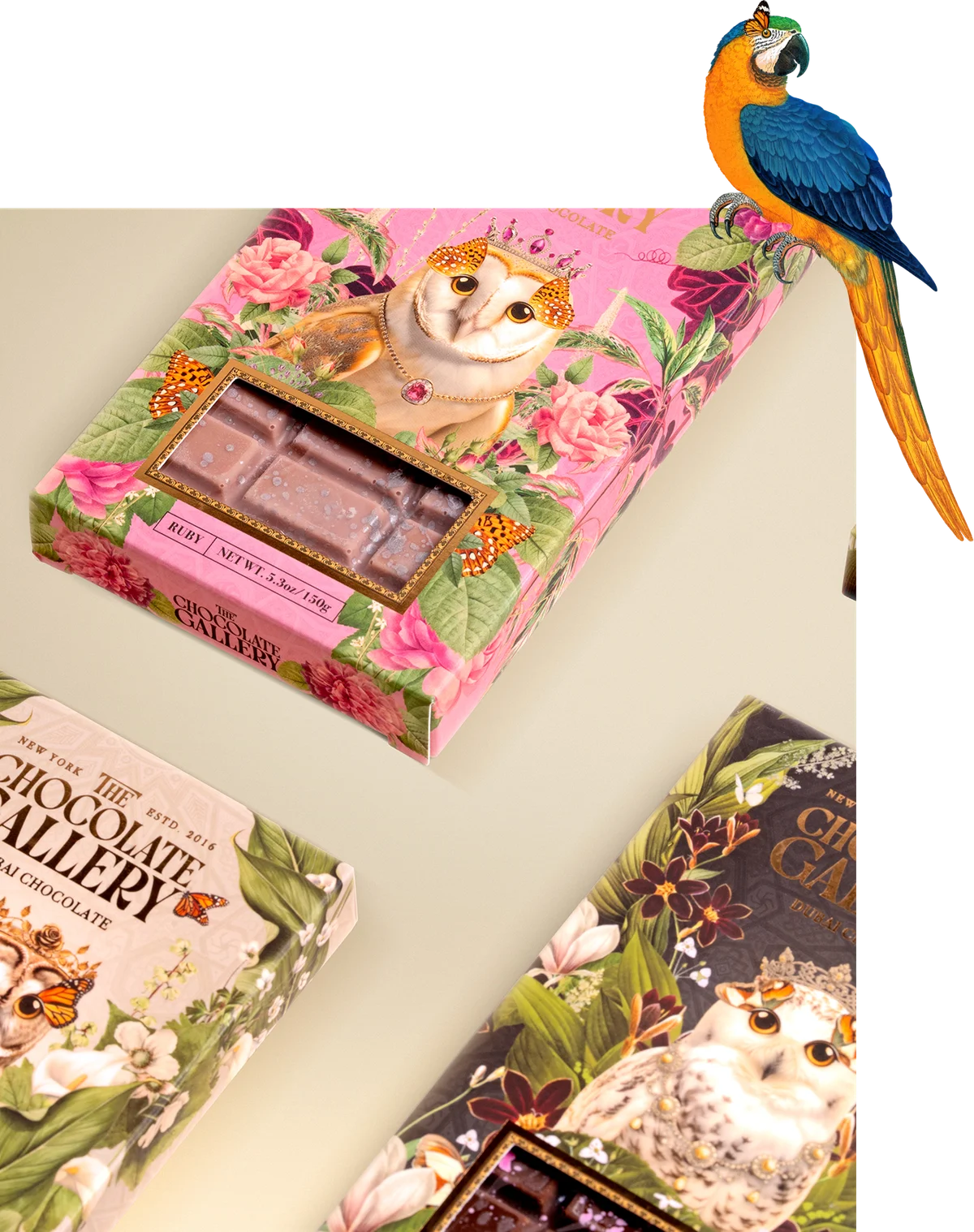 The Chocolate Gallery illustrated packaging with parrot